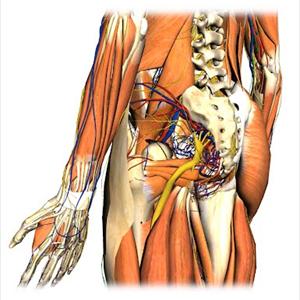 Treatment For Sciatic Nerve Problems - Sciatica... 3 Reasons Why You Still Have It