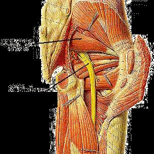 Herniated Disc Symptoms - Sciatica Exercises - The Good And The Bad